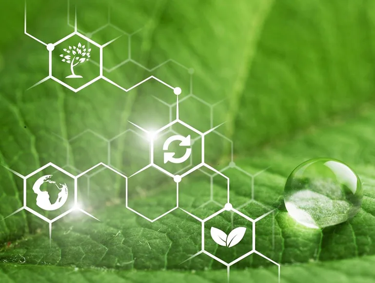 BIOBASED PLASTICIZERS AND PTHALATE FREE PLASTICIZER